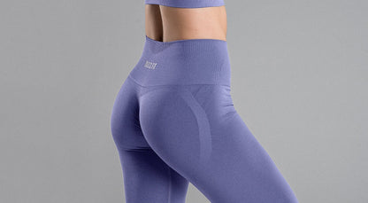 Sculpt Seamless Leggings